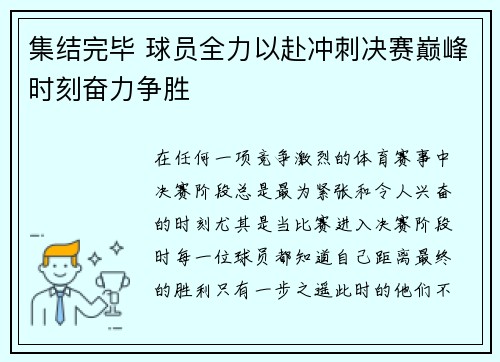 集结完毕 球员全力以赴冲刺决赛巅峰时刻奋力争胜